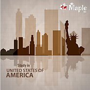 Study in USA - Maple Inc