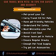 How to travel in car along with pets? | Auto Insurance Invest