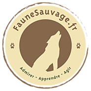 Applications - Faune Sauvage