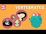 Vertebrates | The Dr. Binocs Show | Educational Videos For Kids