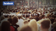 Facebook for Nonprofits: Marketing Beyond the Like