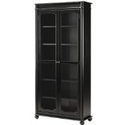 Black Bookcase with Glass Doors and More
