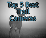 Trail Camera Reviews and Ratings 2014 - Best Trail Cameras