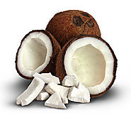 The Alternative Daily Special Report: The Coconut Oil Secret Exposed