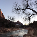Sunset at Zion #zion #nationalpark #sunset #river #tree #mountains