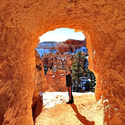Looking Through - Bryce Canyon #bryce #nationalpark