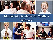 PPT - Martial Arts Academy For Youth in Salisbury PowerPoint Presentation - ID:8115036