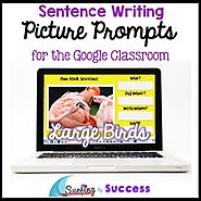 Respond to a Picture Prompt LARGE BIRDS Sentence Writing for the Google