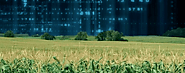 Agriculture Database in USA & UK | B2B Data Quest