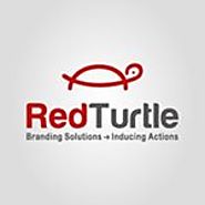 Red Turtle (@redturtleindia) • Instagram photos and videos
