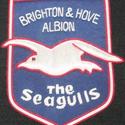 Brighton and Hove Albion Football Club Badges - HandMade Bullion Silver Thread Embroidered Bullion Crest Blazer Patch