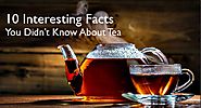 10 Interesting Facts You Didn’t Know About Tea - Zaira Tea
