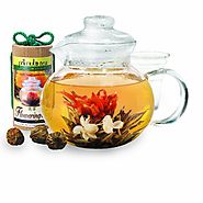 Primula 40-Ounce Glass Teapot with Infuser and Lid with 12 Flowering Teas in a Canister