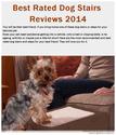 Best Rated Dog Stairs Reviews 2014