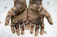 Get Your Hands Dirty !! | Everyday People