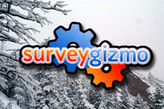 SurveyGizmo | Professional Online Survey Software & Form Builder