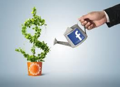 How To Grow Your Audience in Facebook?