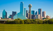 Dallas Synthetic Grass | SGW Dallas