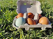 Græsæg - Løvegården - glutenfri gårdbutik og webshop