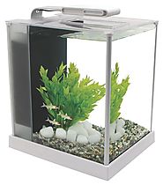 Fluval Tanks - DoggyFriend