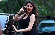 Sayyeshaa Saigal Confirmed as a leading lady in Nandamuri Balakrishna and Boyapati Srinu's film | Latest movie news