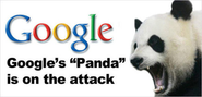New Google Panda 26 Update Official Confirmed!