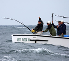 Bruce Brothers Fishing Charters
