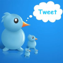 11 cosas que no deberías publicar en Twitter : Marketing Directo