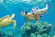 Best Snorkeling Gear Sets Reviews on Flipboard