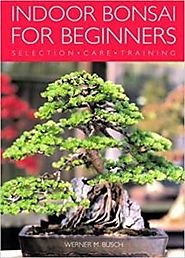 Indoor Bonsai for Beginners - Including Selection, Care and Trainning