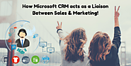 How Microsoft CRM acts as a Liaison Between Sales and Marketing