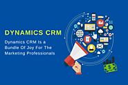 Dynamics CRM is a Bundle of Joy For The Marketing Professionals