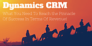 Dynamics CRM is What You Need to Reach The Pinnacle of Success In Terms Of Revenue!