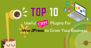 10+ Useful CRM Plugins For WordPress to Grow Your Business