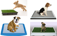 Pet Product Review: Indoor Dog Potties