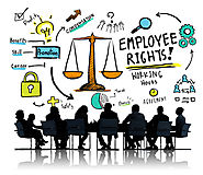 Independent Contractors or Employees: The Importance of Correctly Classifying Workers in Florida