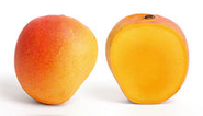 Mango - Wikipedia, the free encyclopedia