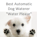 Best Automatic Dog Waterer 2014
