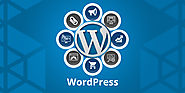 WordPress Development Services | WordPress Website Development