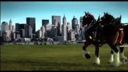 9/11 Budweiser Clydesdale's Tribute best ever HD - YouTube