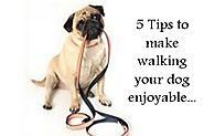 Walking Your Dog Should Be Enjoyable