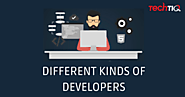 [Infographics] - Different types of Web Developer | TechTIQ Solutions