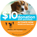 Help for Homeless Pets | Donate Rescue Pets | The BISSELL Pet Foundation