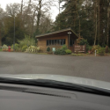 Going to golf at Fota Island Resort Golf Club - all in a rush