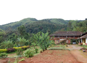 HomeStay in Coorg, Palace Estate