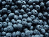 Lindberg's Blueberries