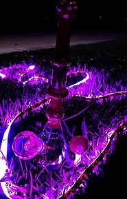 Headshop| Pipes, Bongs, Vaporizers| Delusion420 | Product Page