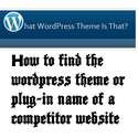 How to find the wordpress theme or plug-in name of a competitor website or blog