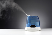 Best Single Room Humidifier Reviews
