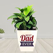 Buy or Order Good Luck Wish For Dad Online | Midnight Gifts Online - OyeGifts.com